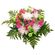 Alice. This tender and touching bouquet of chrysanthemums and carnations will be a great reminder about warm days you&#39;ve spent together. . Novosibirsk