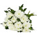 Chrysanthemums. Chrysanthemums are cheerful and long-lasting flowers suitable for any occasion. Their large and fragrant buds will please the recipient for a long time.. Novosibirsk