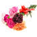 Mixed Color Carnations. Novosibirsk