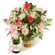 Surprise!. Light and exquisite arrangement of roses, chrysanthemums and carnations will be a wonderful surprise. Delivered along with bottle of champagne. . Novosibirsk